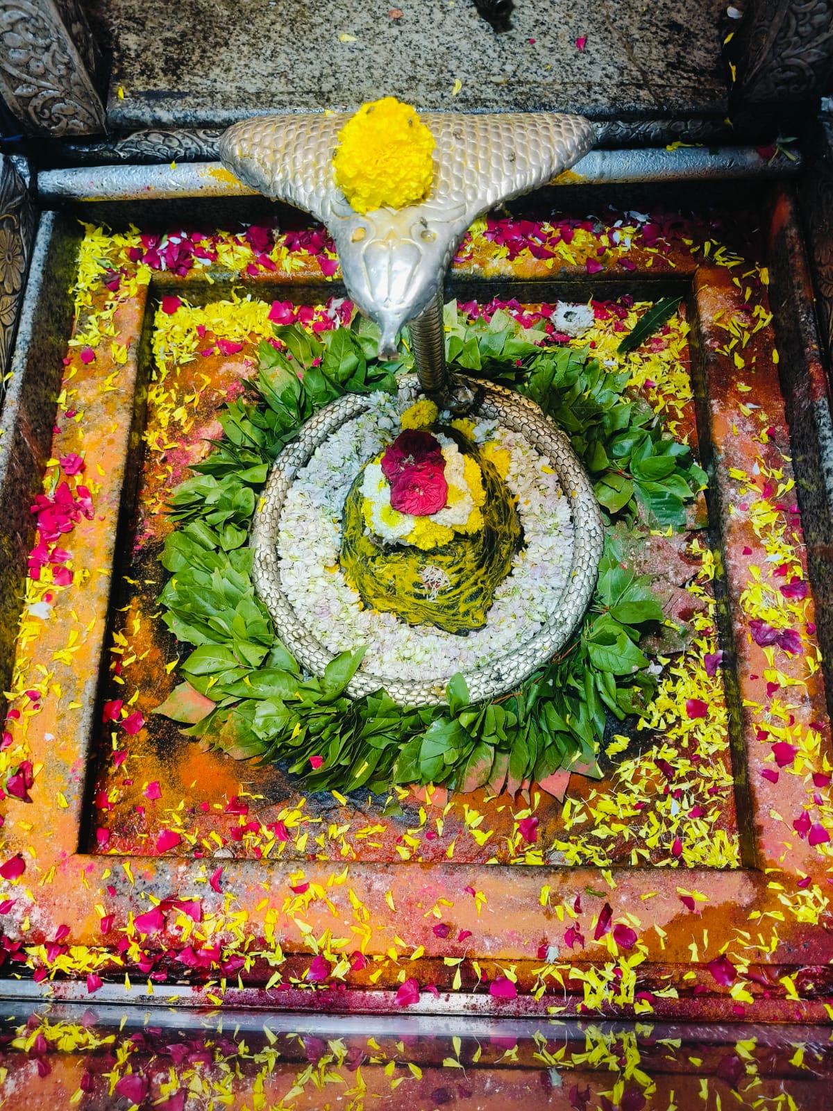 ओंकारेश्वर महादेव के दर्शन