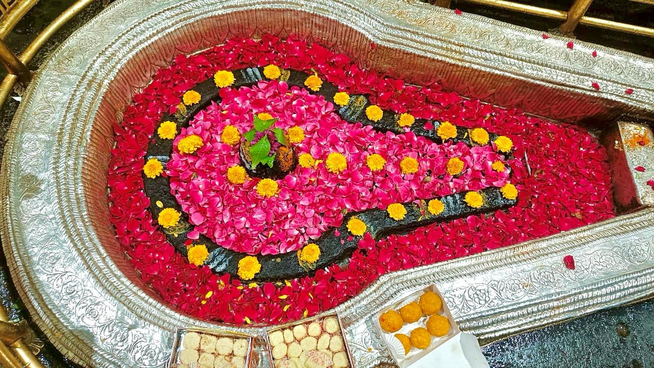 भीमाशंकर ज्योतिर्लिंग जी के दर्शन