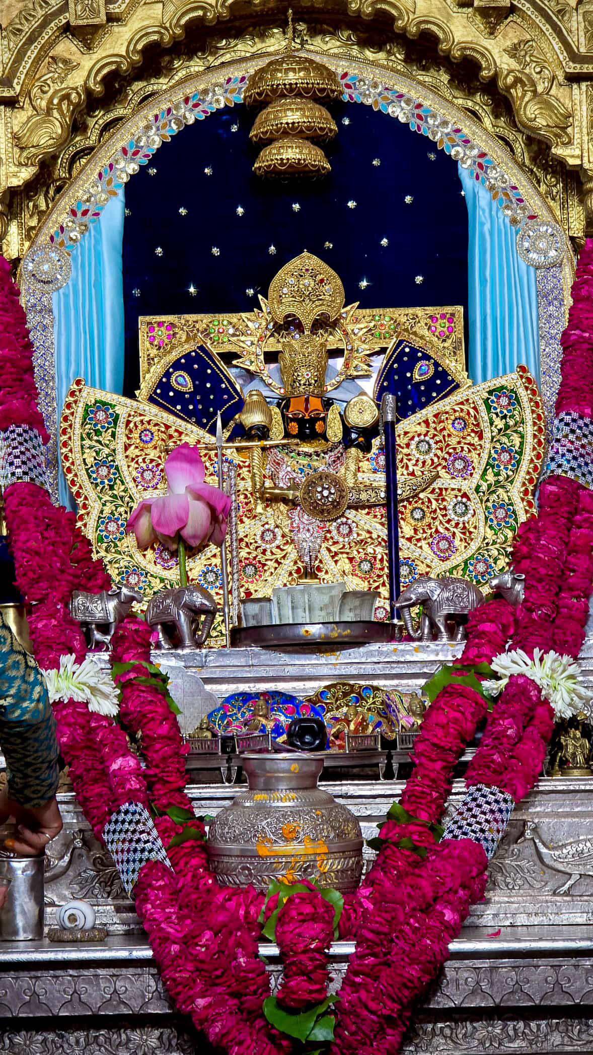 श्री सांवरिया जी नित्य श्रृंगार दर्शन