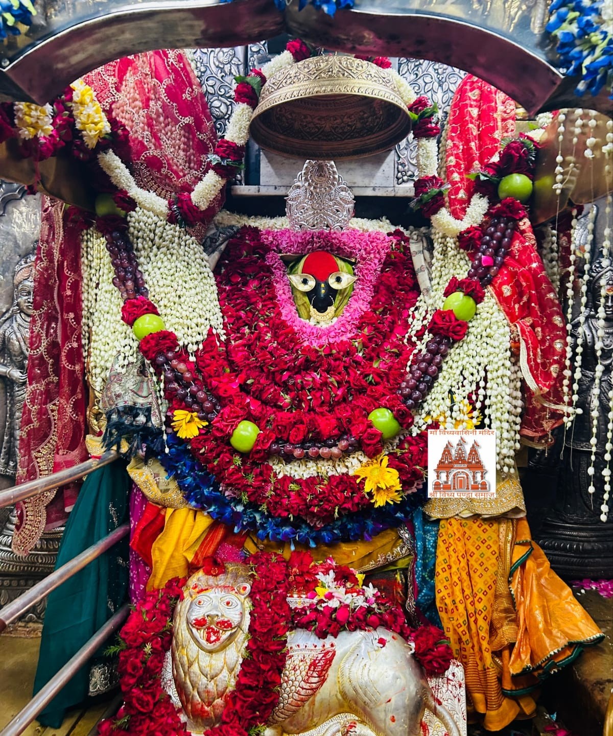 माँ विंध्यवासिनी नित्य दर्शन