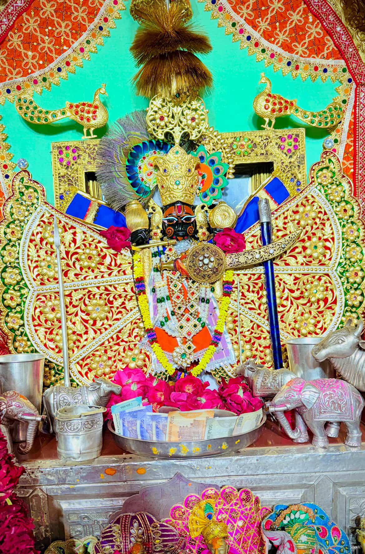श्री सांवरिया सेठ नित्य दर्शन