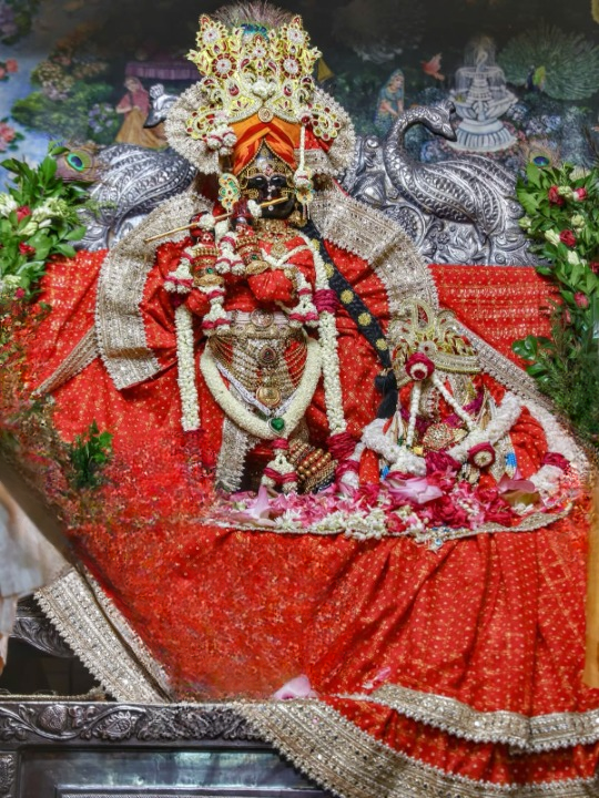 राधावल्लभ जी के दर्शन