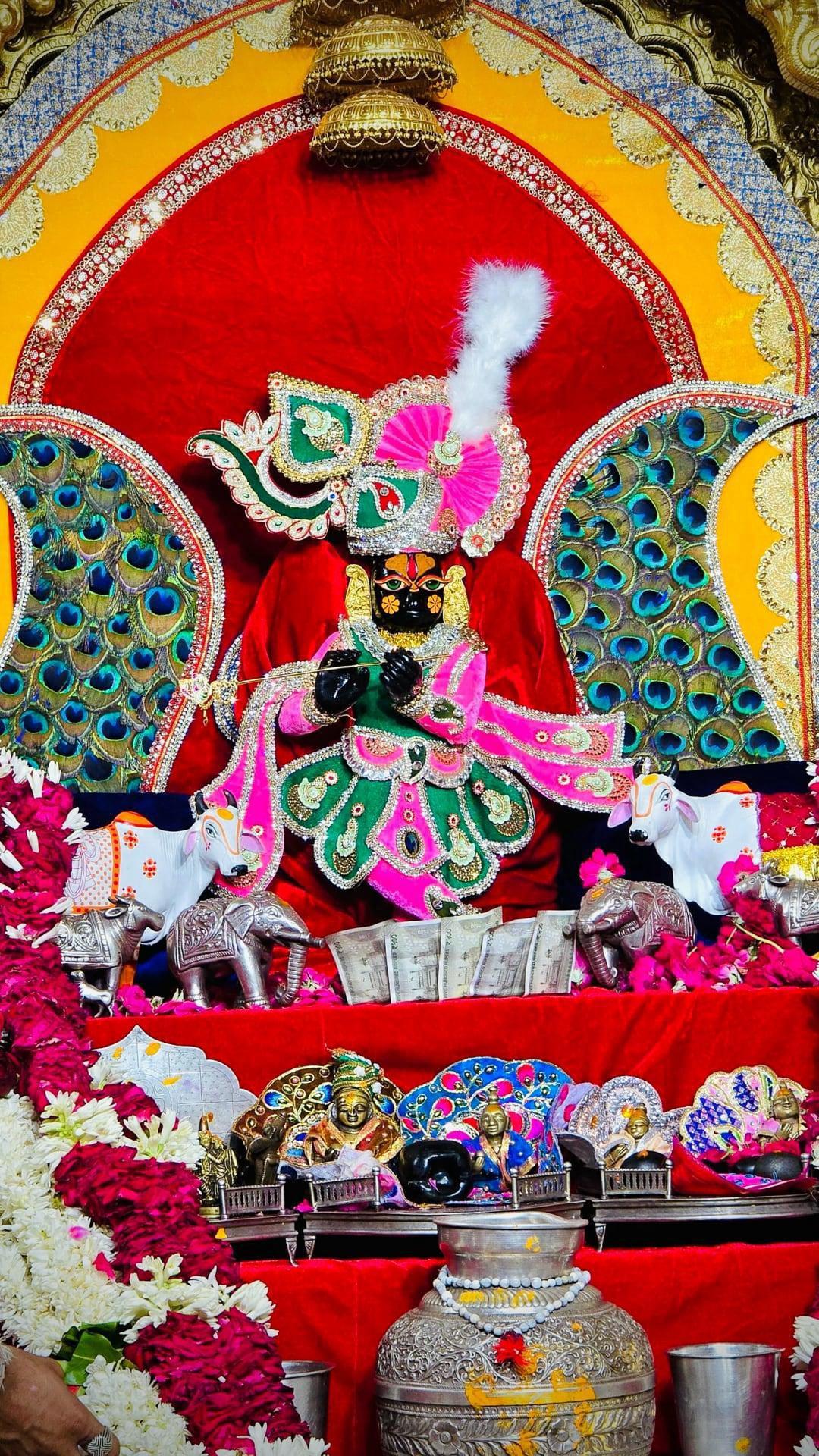 श्री सांवरिया जी नित्य दर्शन