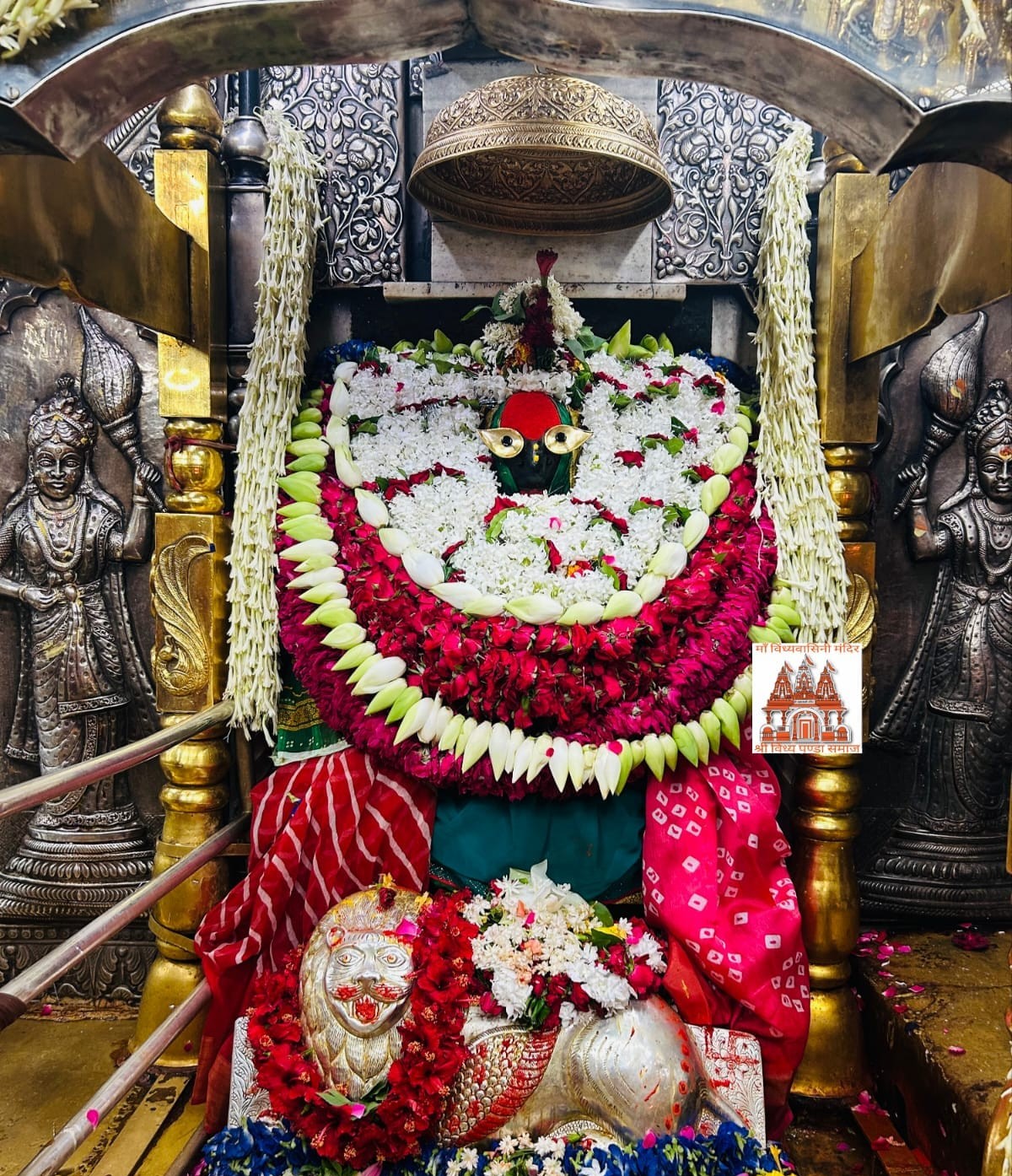 श्री विंध्यवासिनी देवी नित्य दर्शन