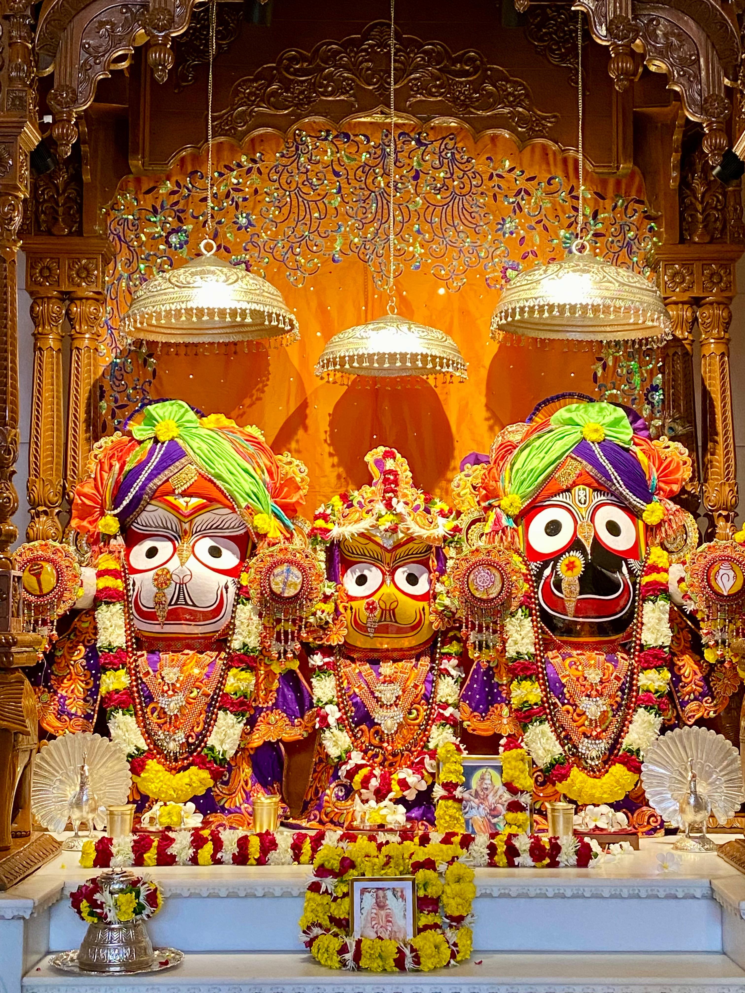 श्रीजगन्नाथ सुभद्रा बलराम दर्शन