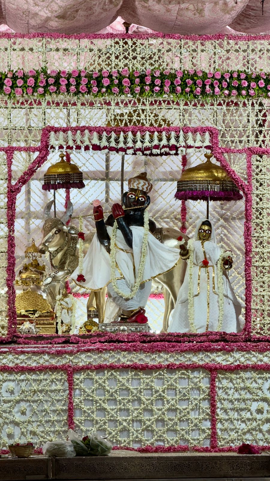 श्री गोविंद देवजी नित्य दर्शन
