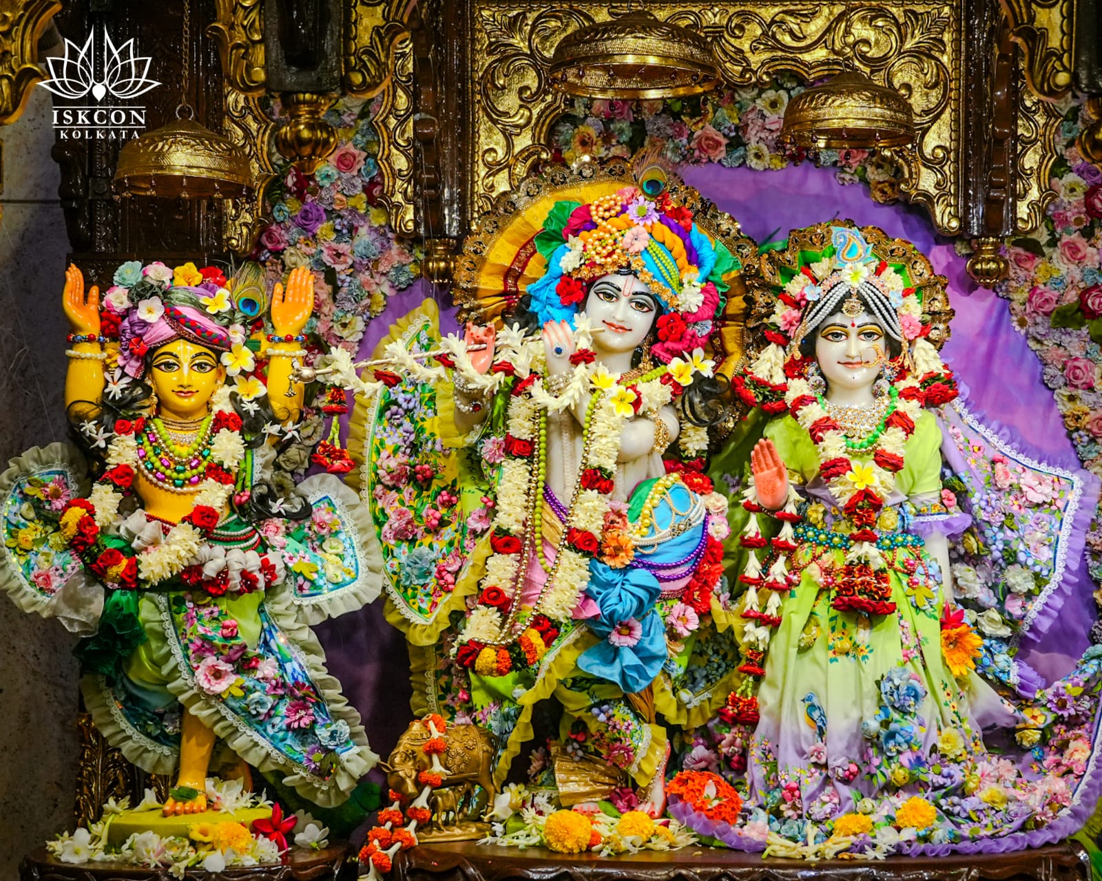 श्री राधे कृष्ण दर्शन