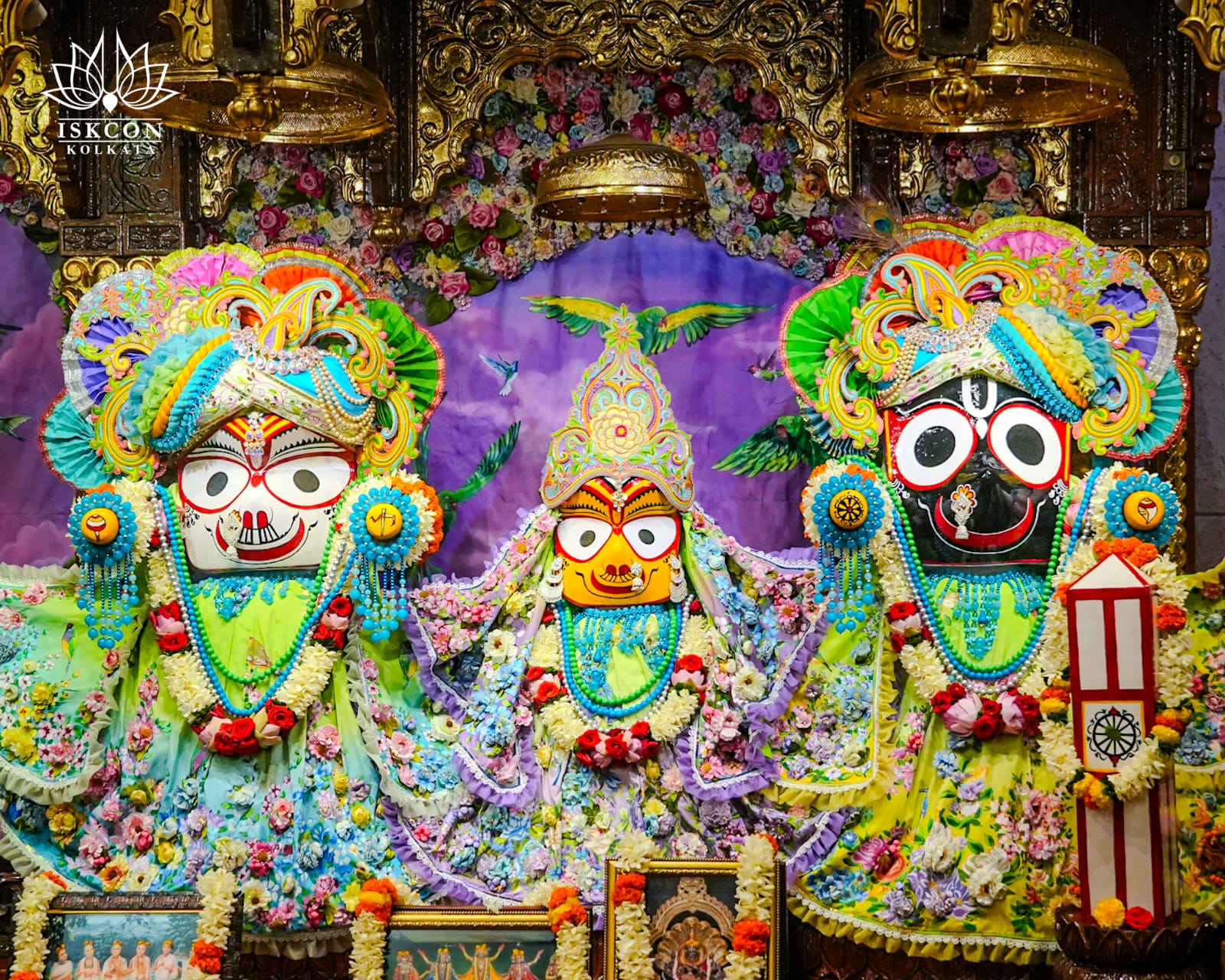 श्रीजगन्नाथ सुभद्रा बलराम दर्शन