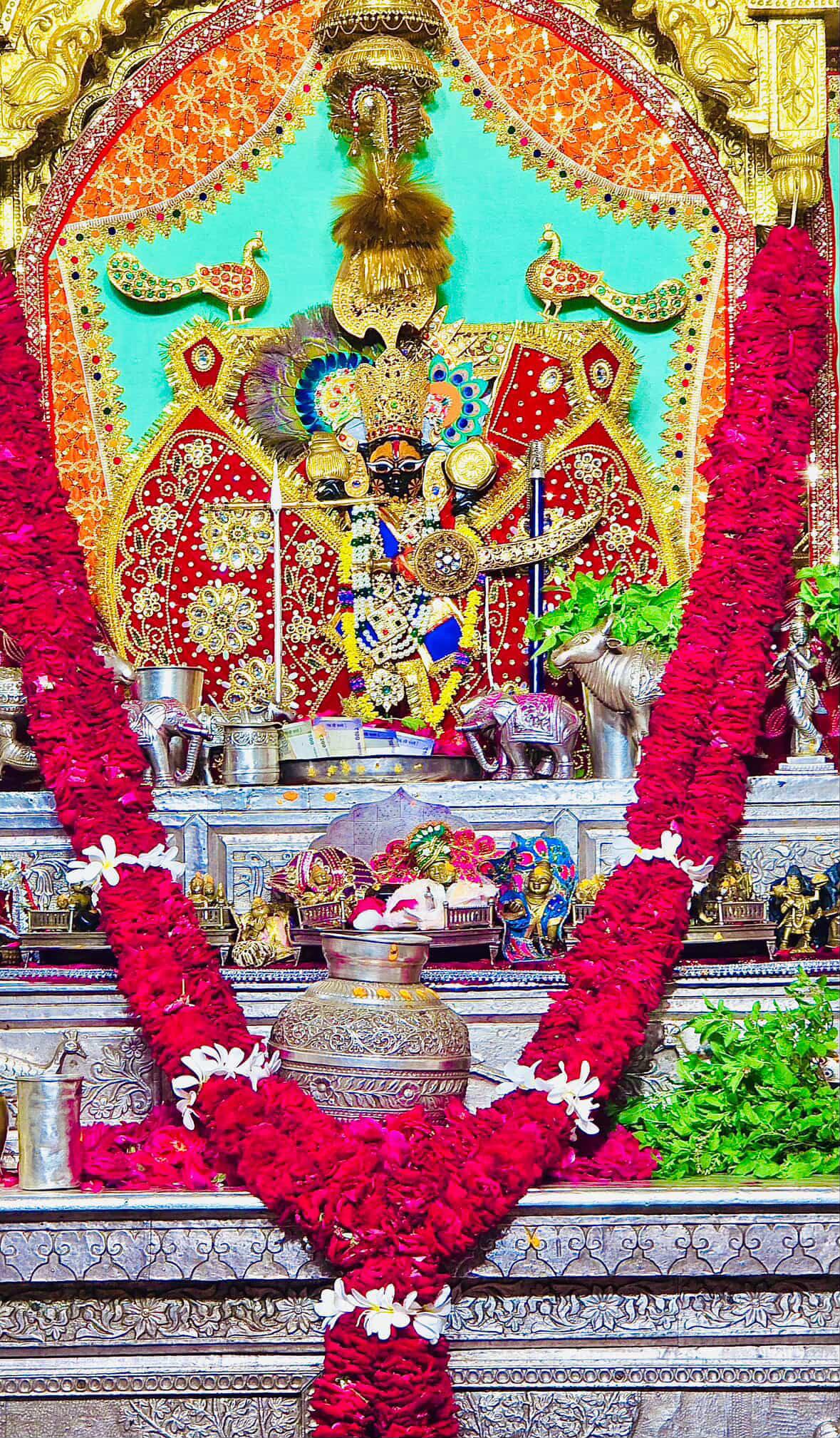 श्री सांवरिया जी नित्य दर्शन