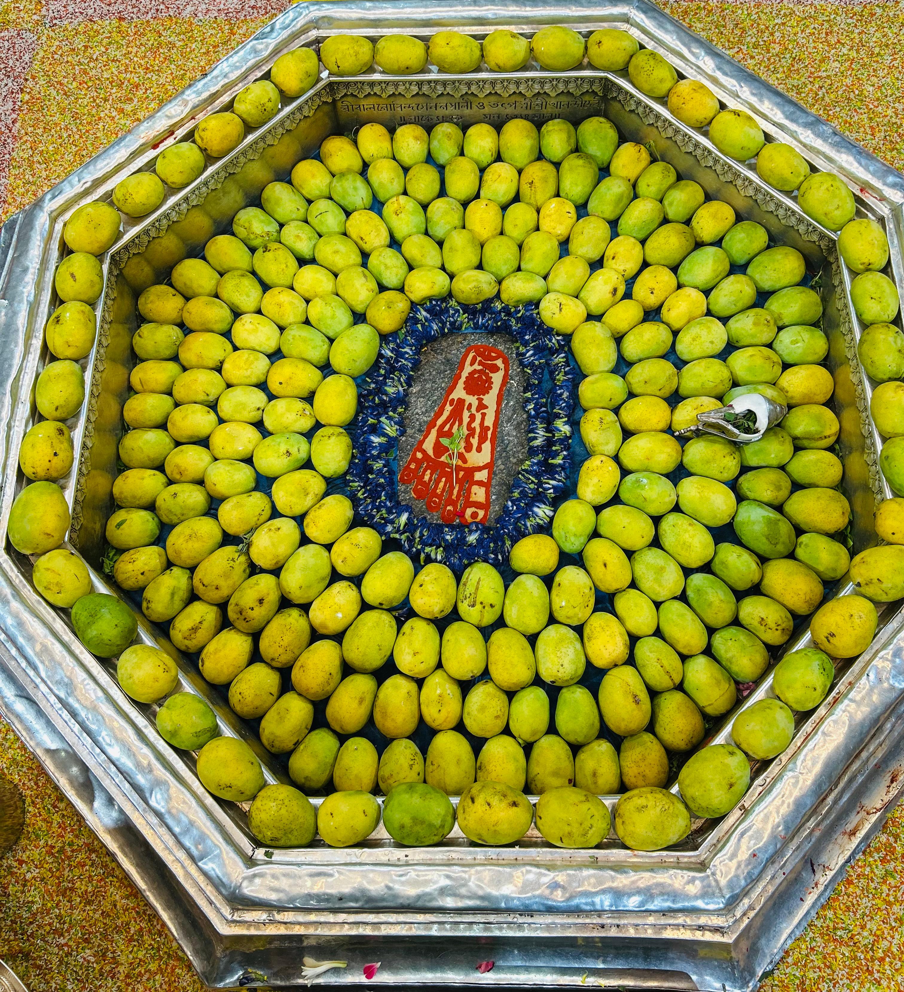 विष्णु पद दर्शन