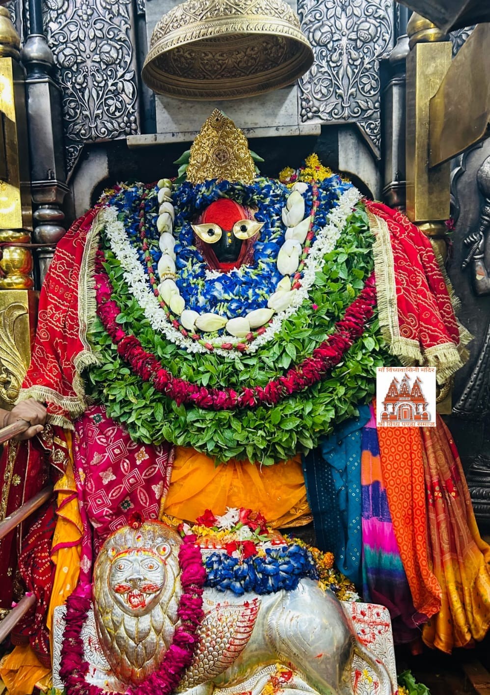श्री विंध्यवासिनी देवी नित्य दर्शन