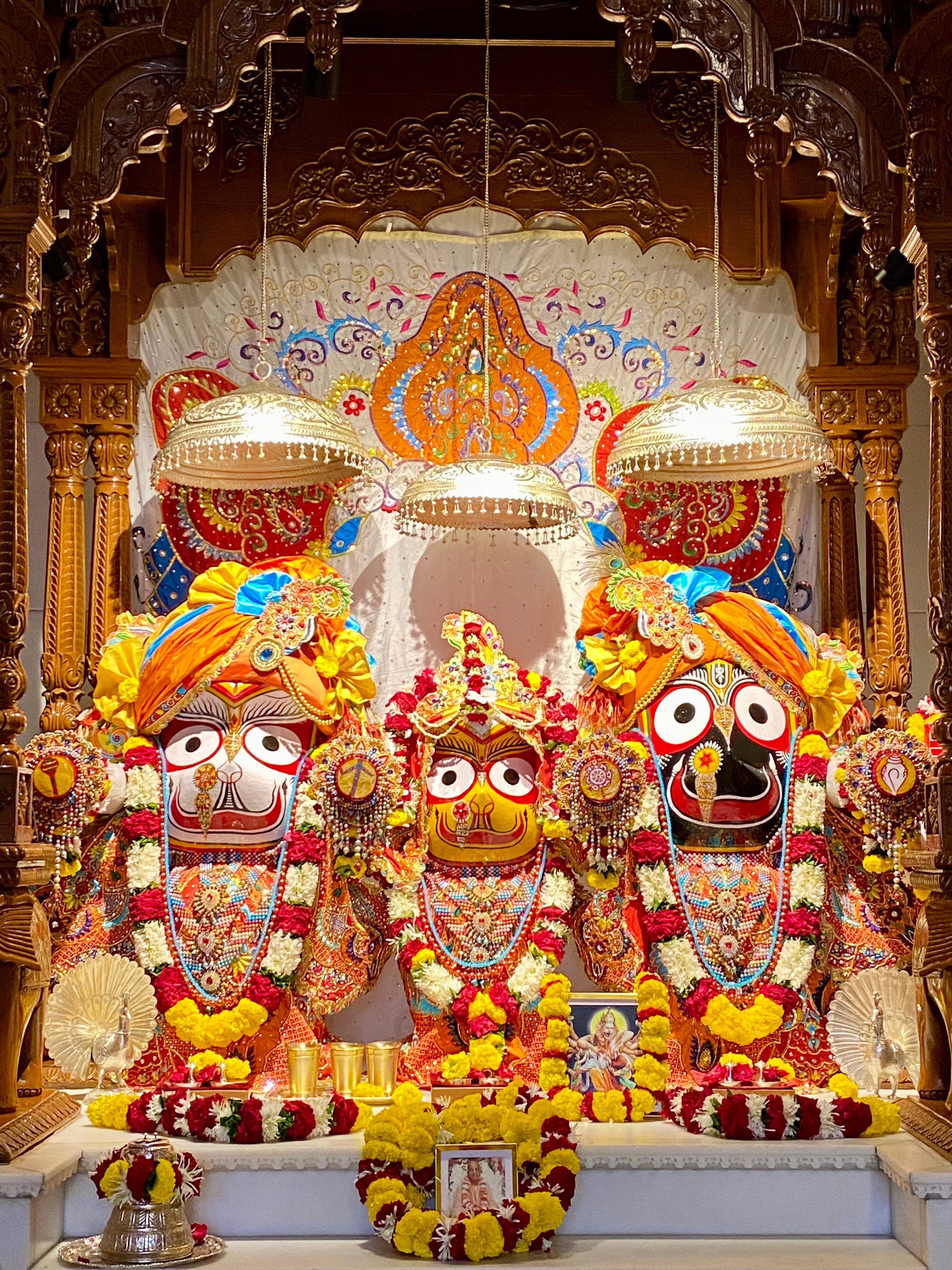 श्रीजगन्नाथ सुभद्रा बलराम दर्शन