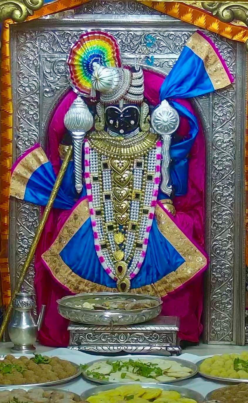 श्री द्वारकाधीश महाराज निर्य दर्शन