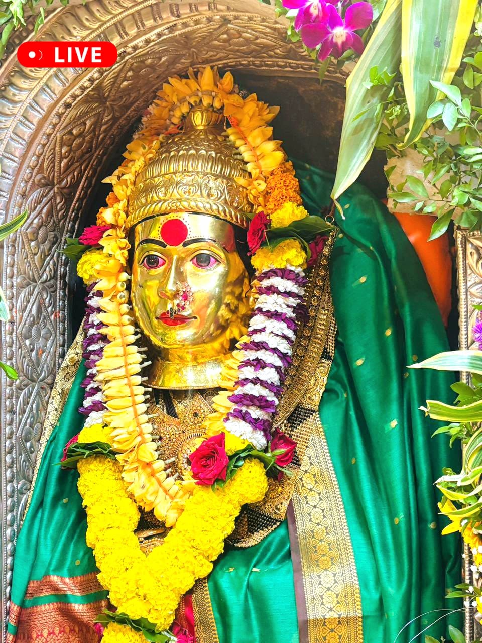 श्री एकवीरा देवी नित्य दर्शन