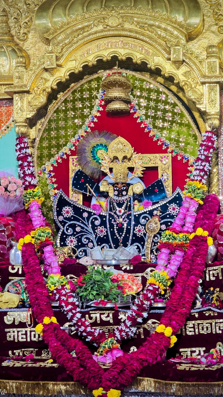 सांवरिया सेठ के दर्शन
