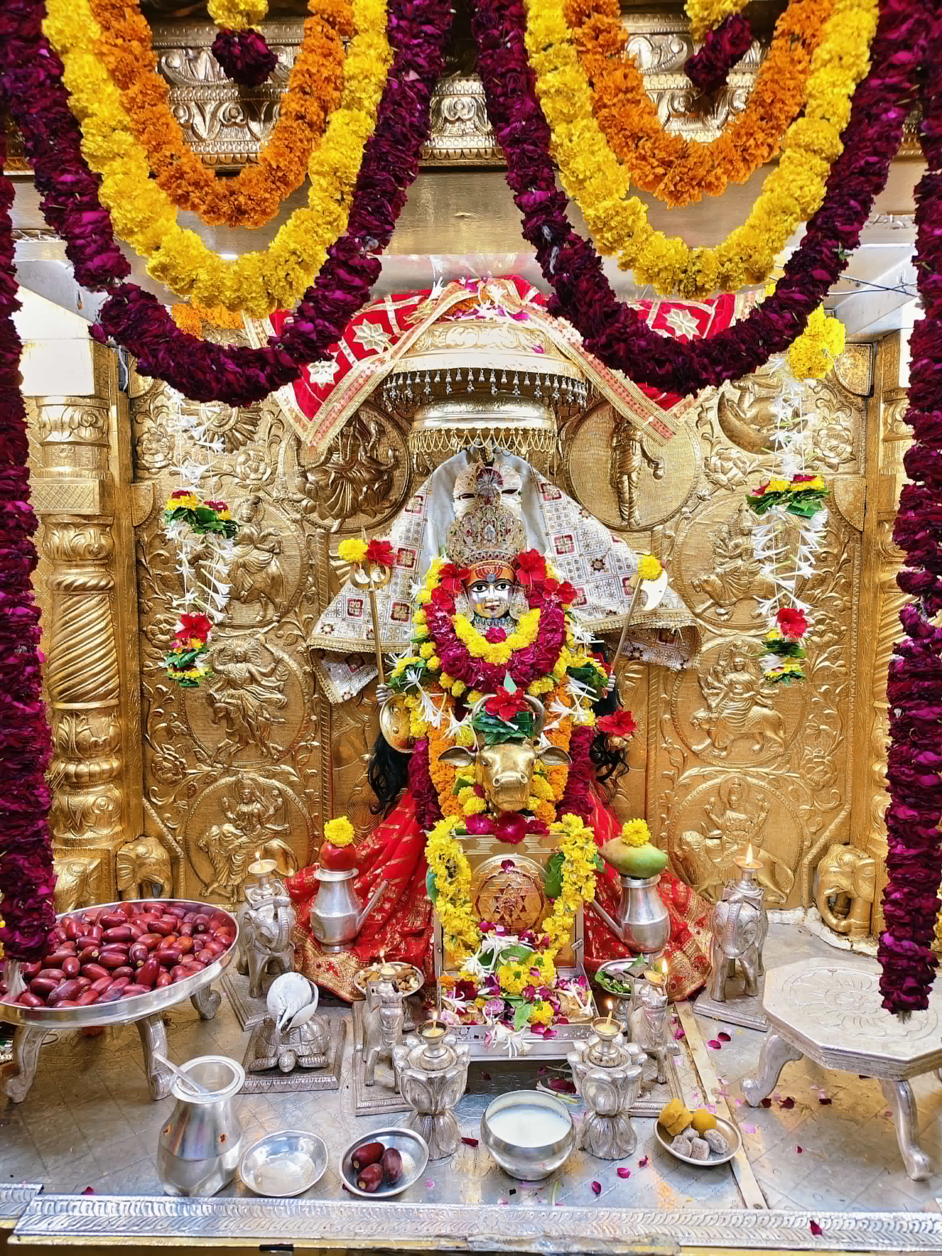 श्री खेडब्रह्मा देवी निया दर्शन