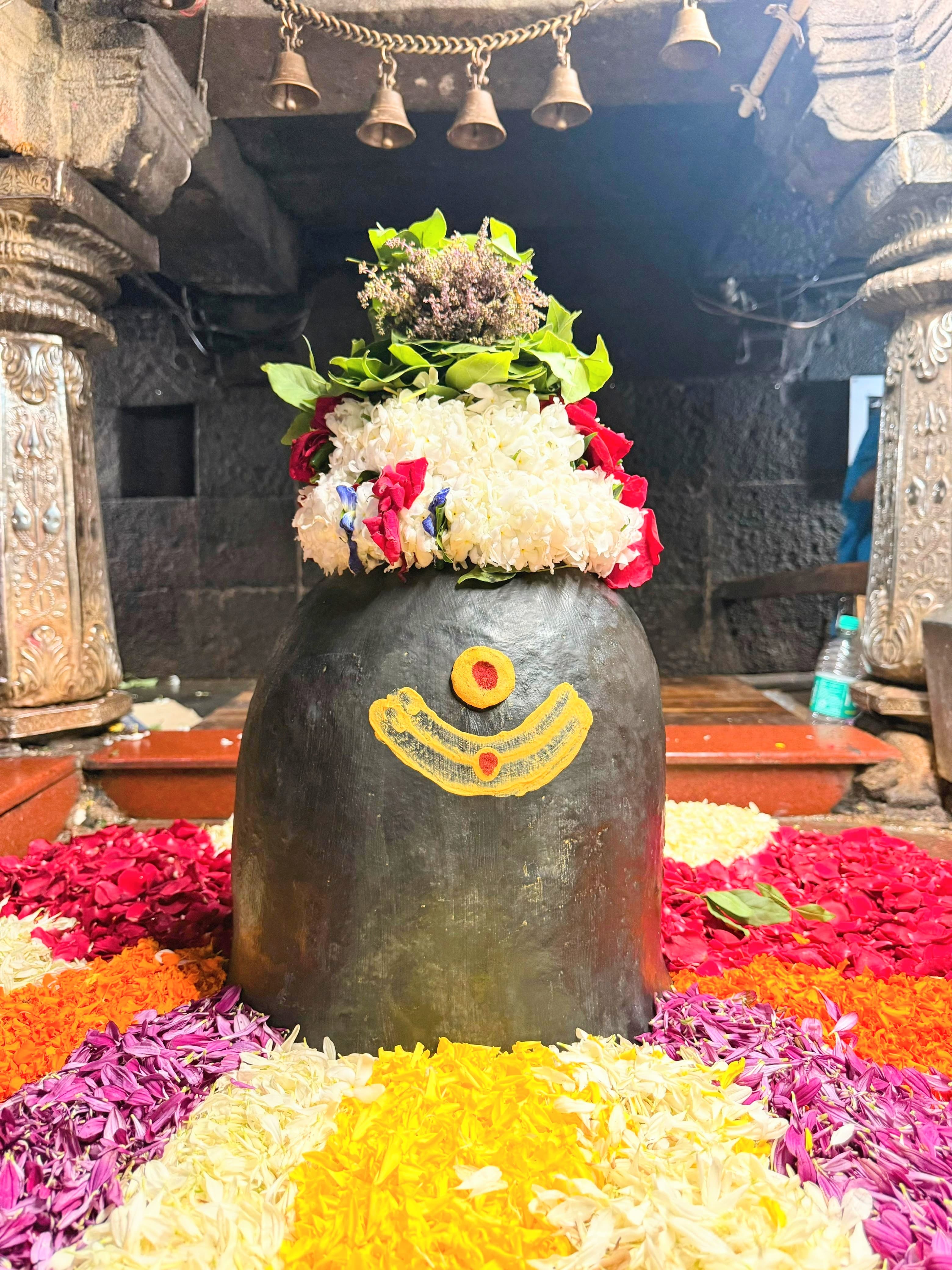 श्री नागेश्वर ज्योतिर्लिंग भगवान् दर्शनम्