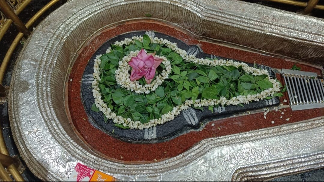 भीमाशंकर ज्योतिर्लिंग के दर्शन