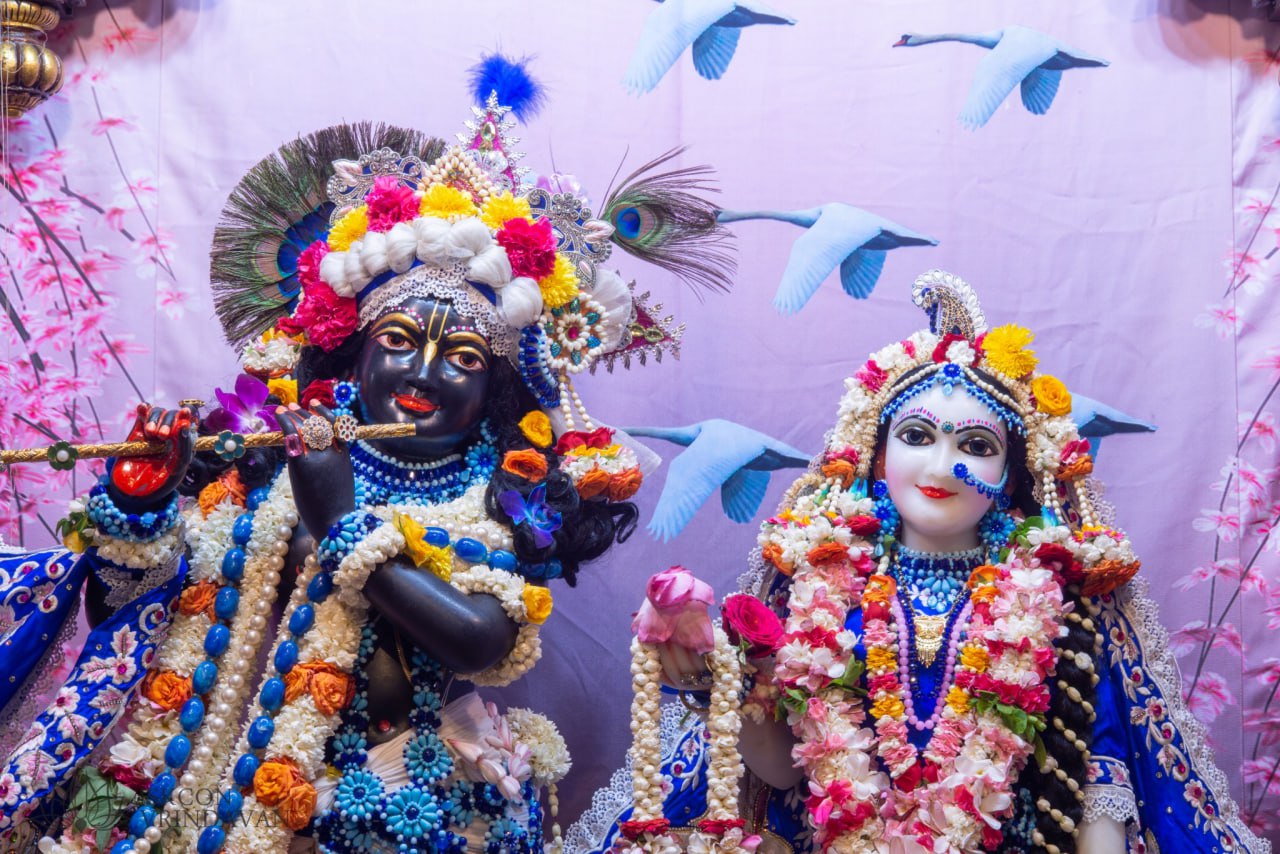 जय राधामाधव