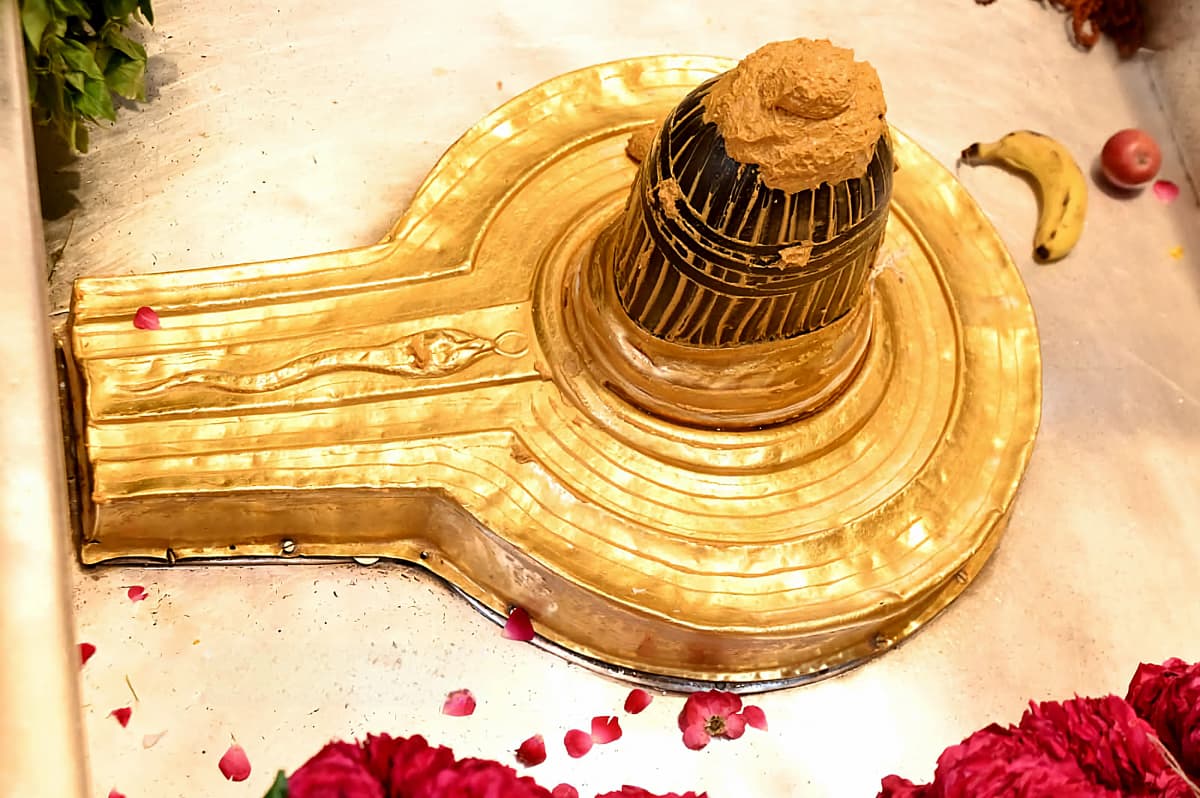 काशी विश्वनाथ महादेव के दर्शन