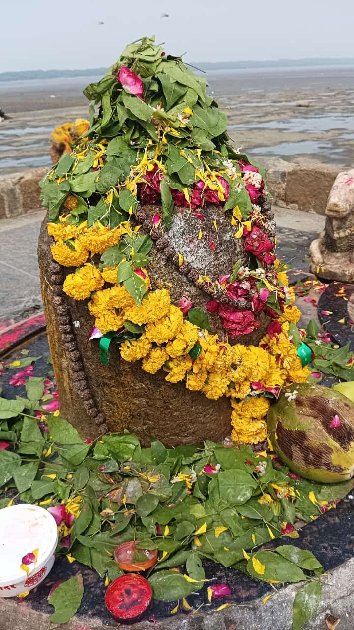 निष्कलंक महादेव श्रृंगार दर्शन