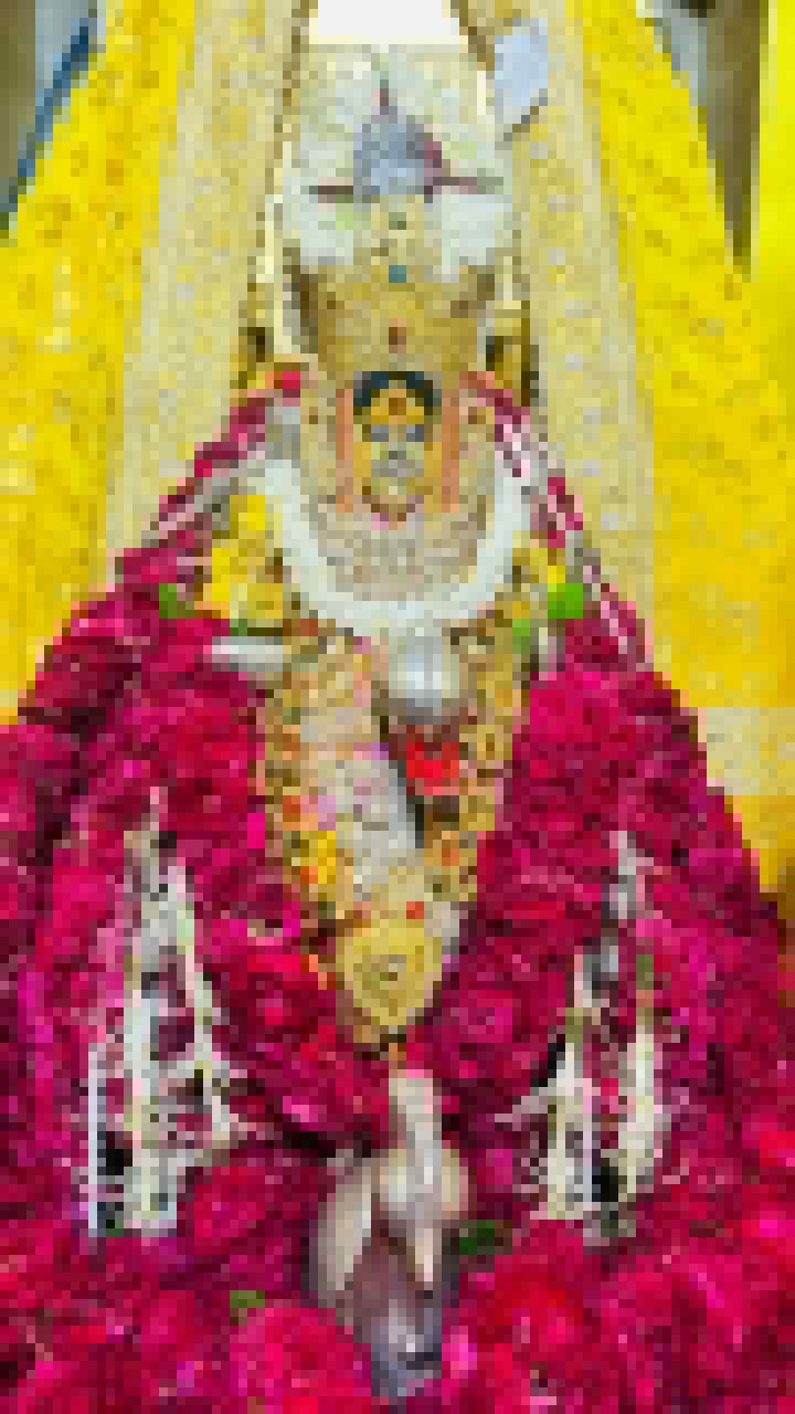 जय मा बहुचर