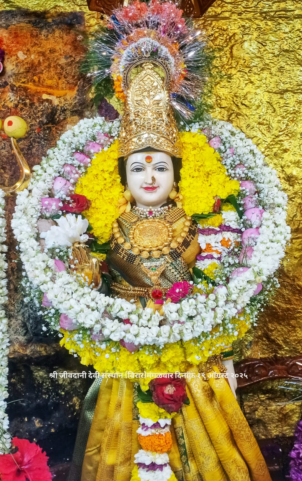 जीवदानी देवी के दर्शन