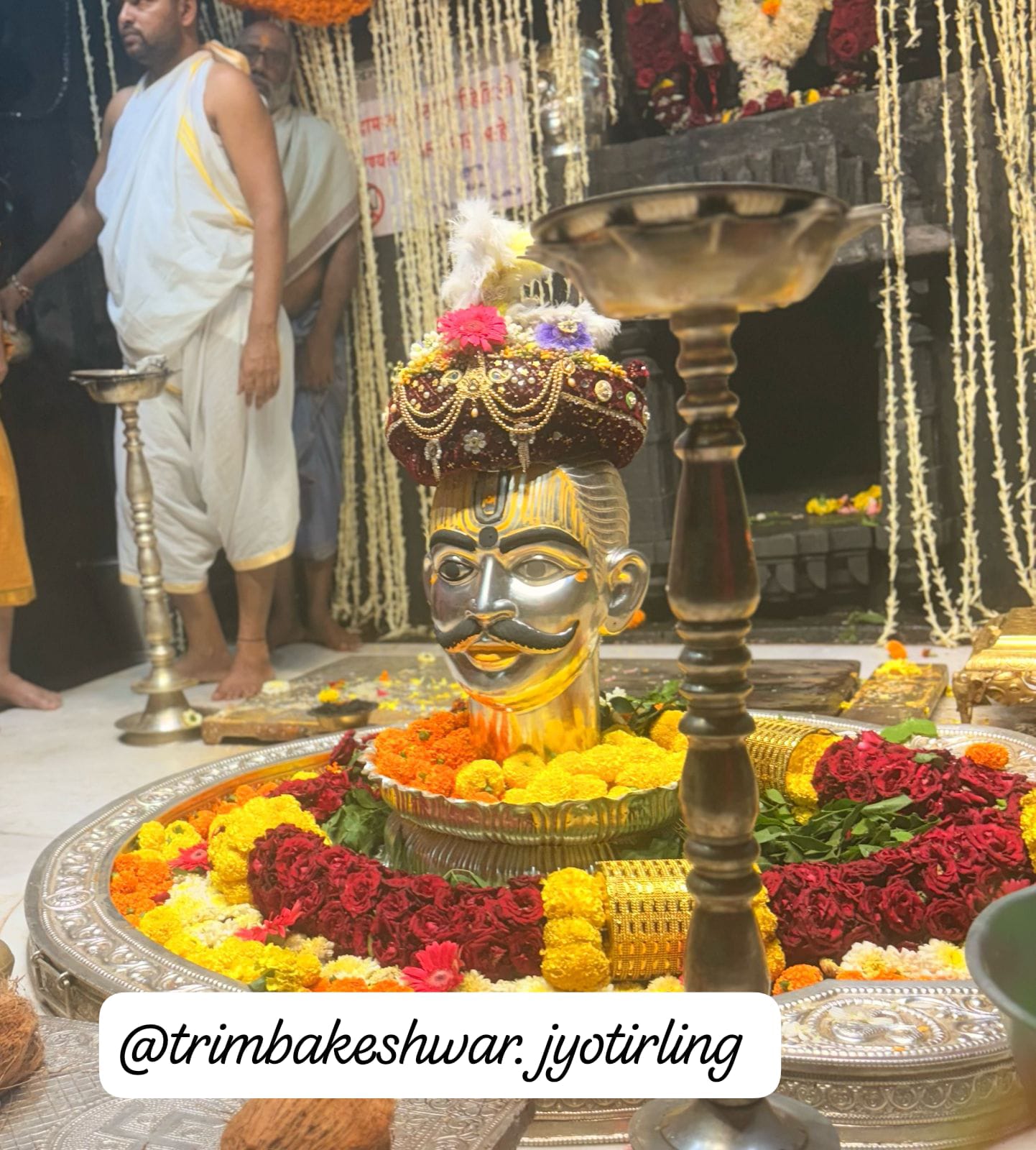 त्र्यंबकेश्वर ज्योतिलिंग के दर्शन