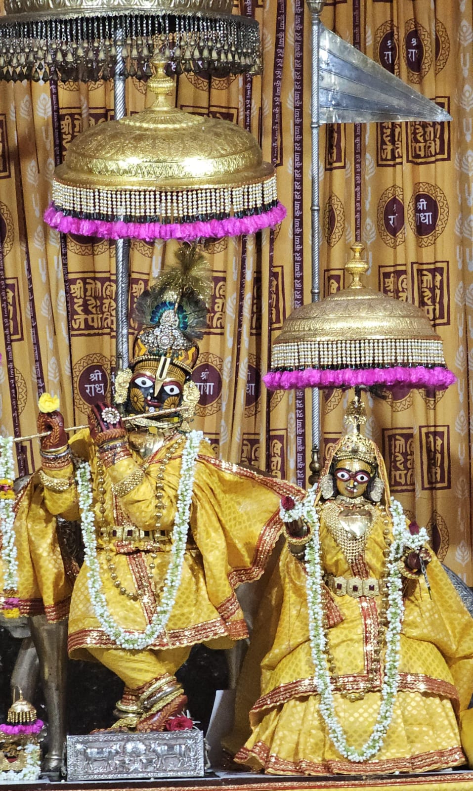 गोविंद देव जी के दर्शन