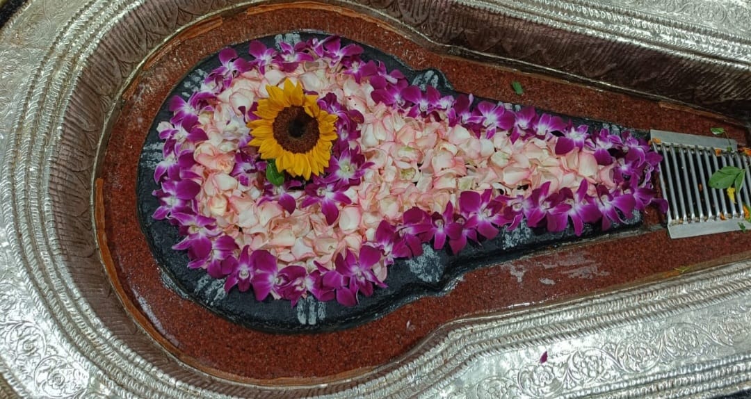 भीमाशंकर ज्योतिर्लिंग के दर्शन