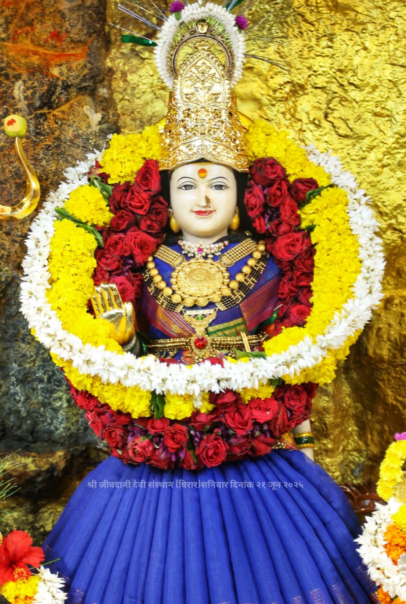 जीवदानी देवी के दिव्य दर्शन