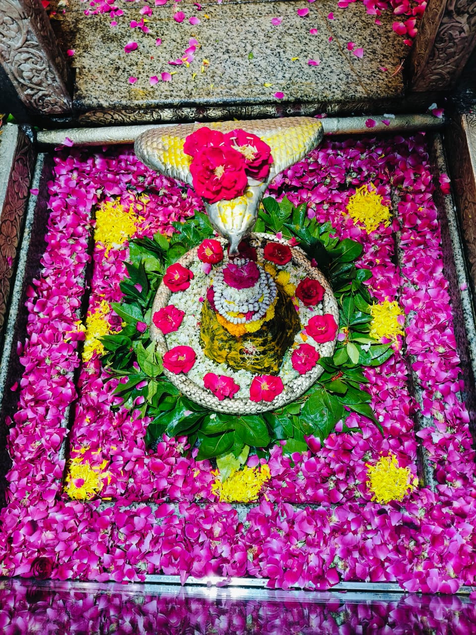 ओंकारेश्वर ज्योतिर्लिंग के दर्शन