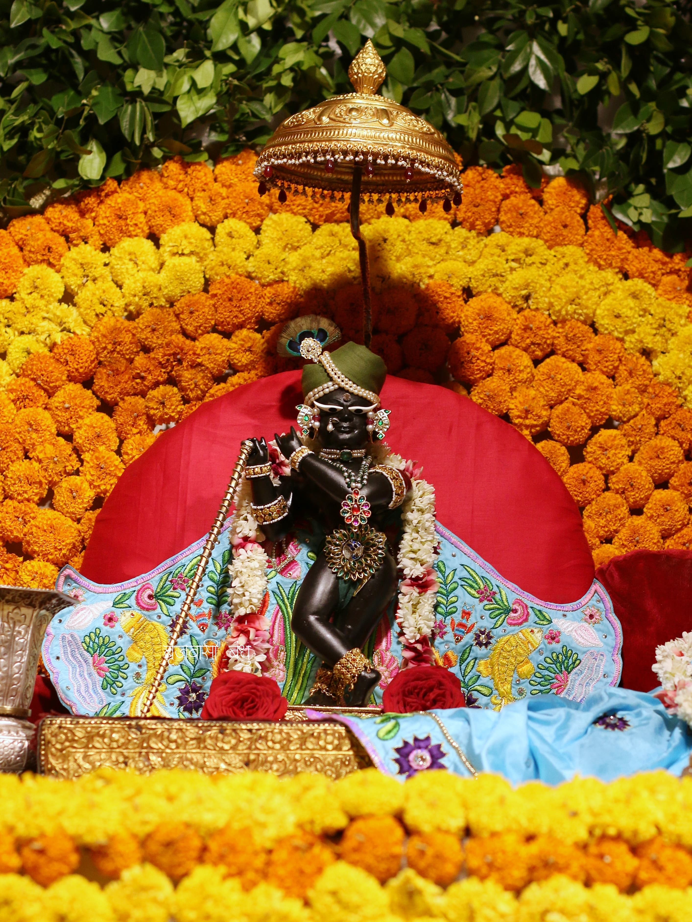 राधा रमन जी के दर्शन