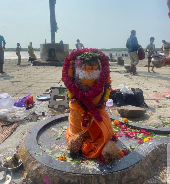 निष्कलंक महादेवी मंगल दर्शन