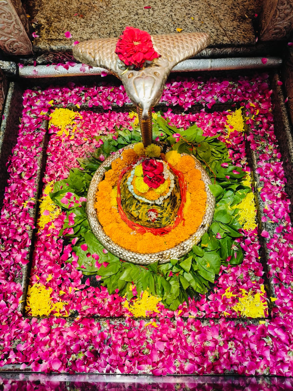 ओंकारेश्वर महादेव के दर्शन