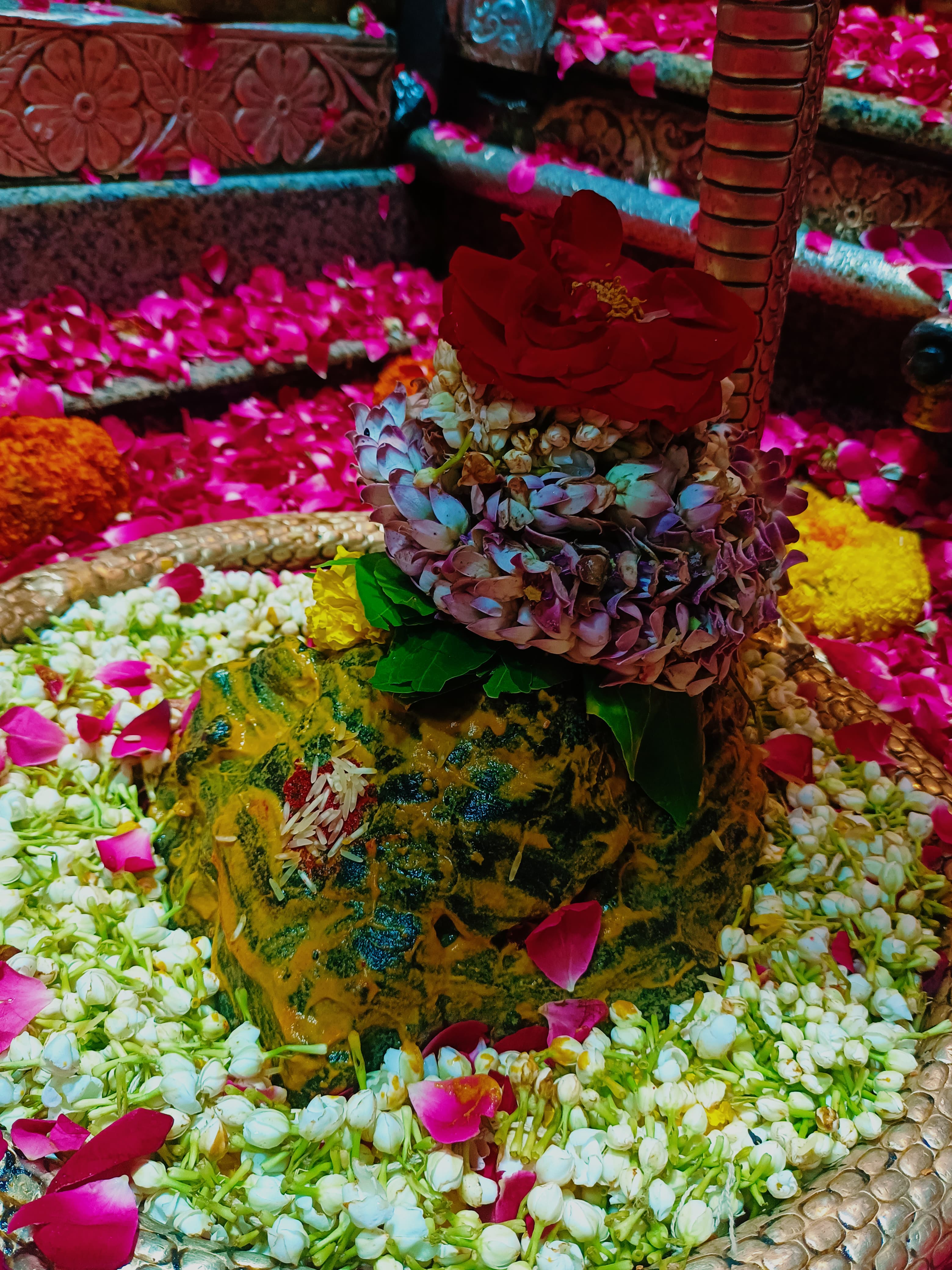ओंकारेश्वर ज्योतिलिंग के दर्शन