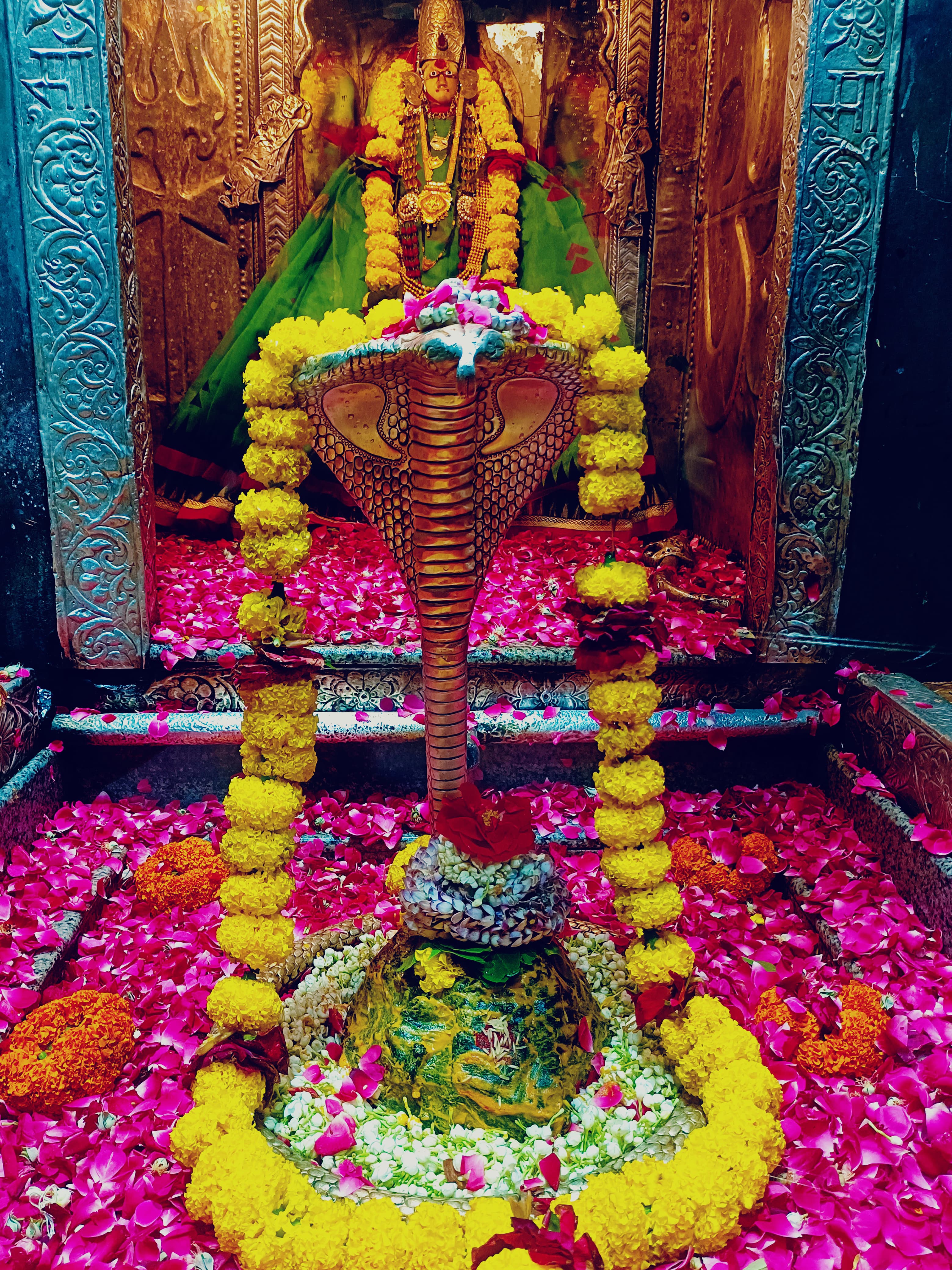 ओंकारेश्वर ज्योतिलिंग के दर्शन