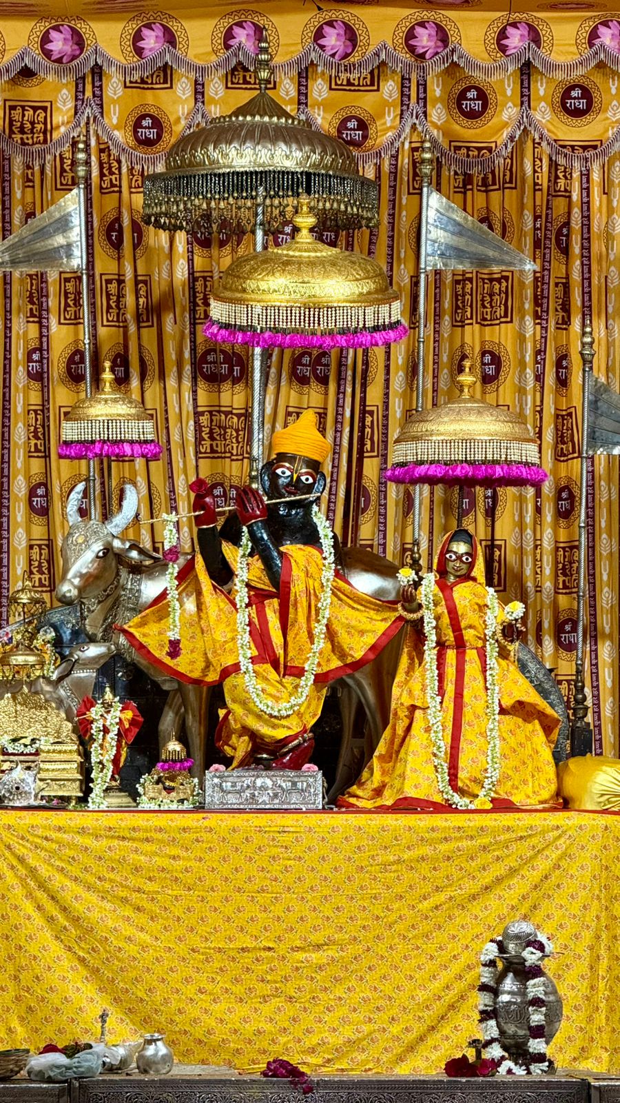 गोविंद देव जी के दर्शन