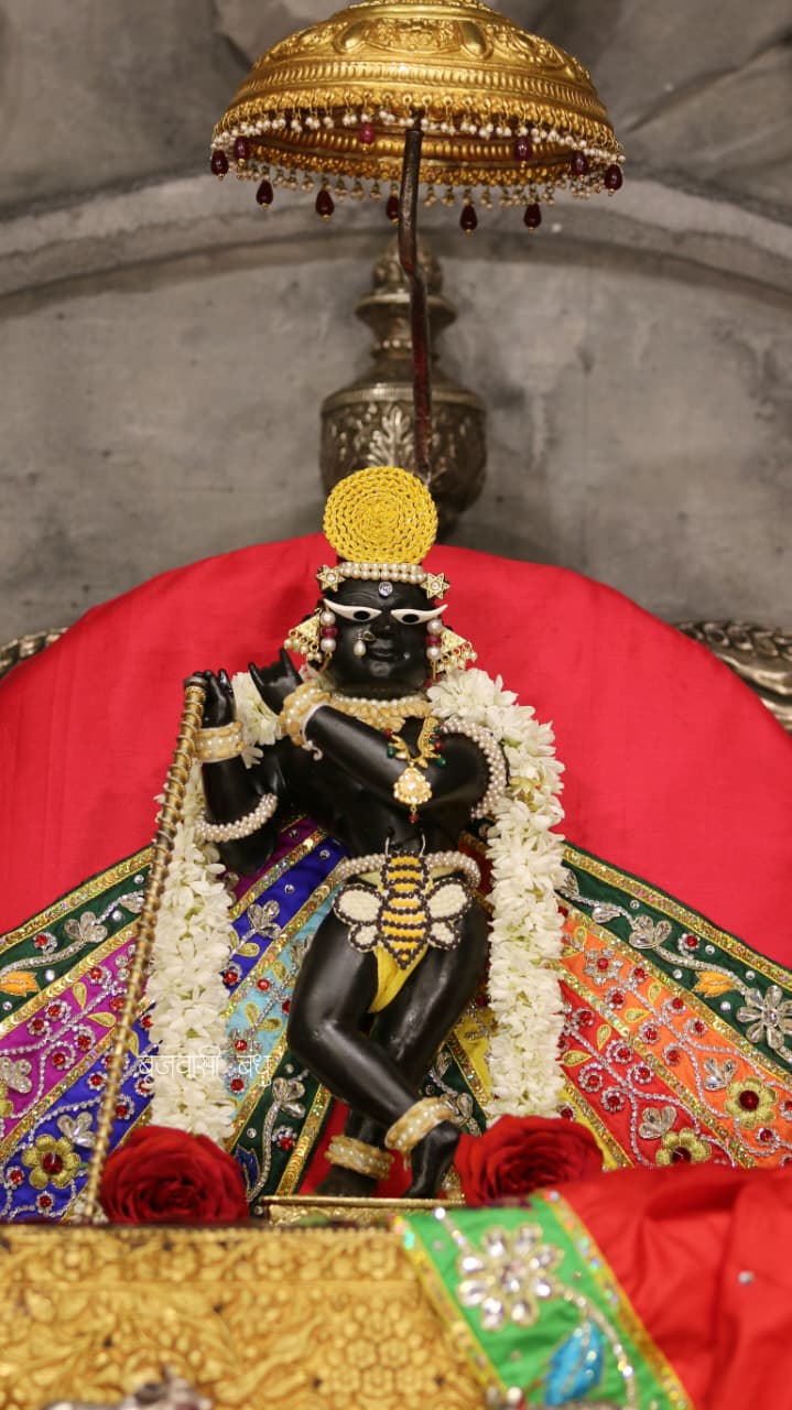 राधा रमन जी के दर्शन