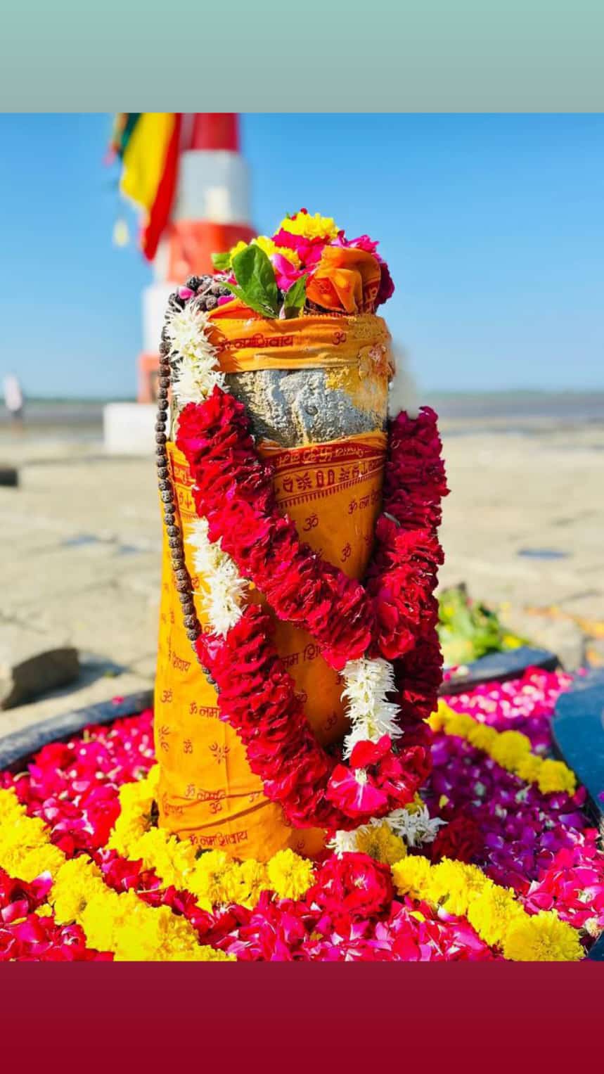 निष्कलंक महादेव श्रृंगार दर्शन