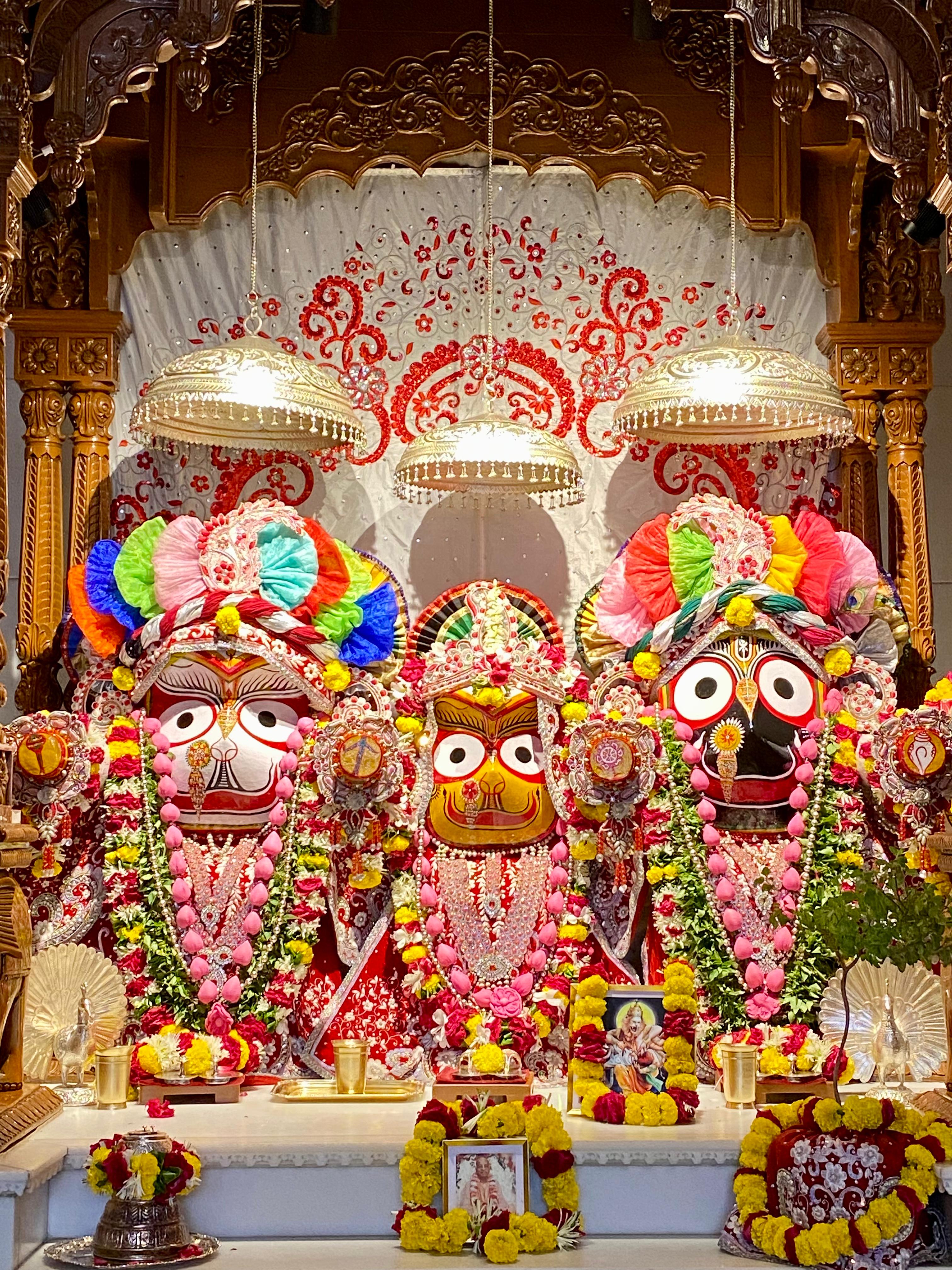 जगन्नाथ सुभद्रा बलराम दर्शन