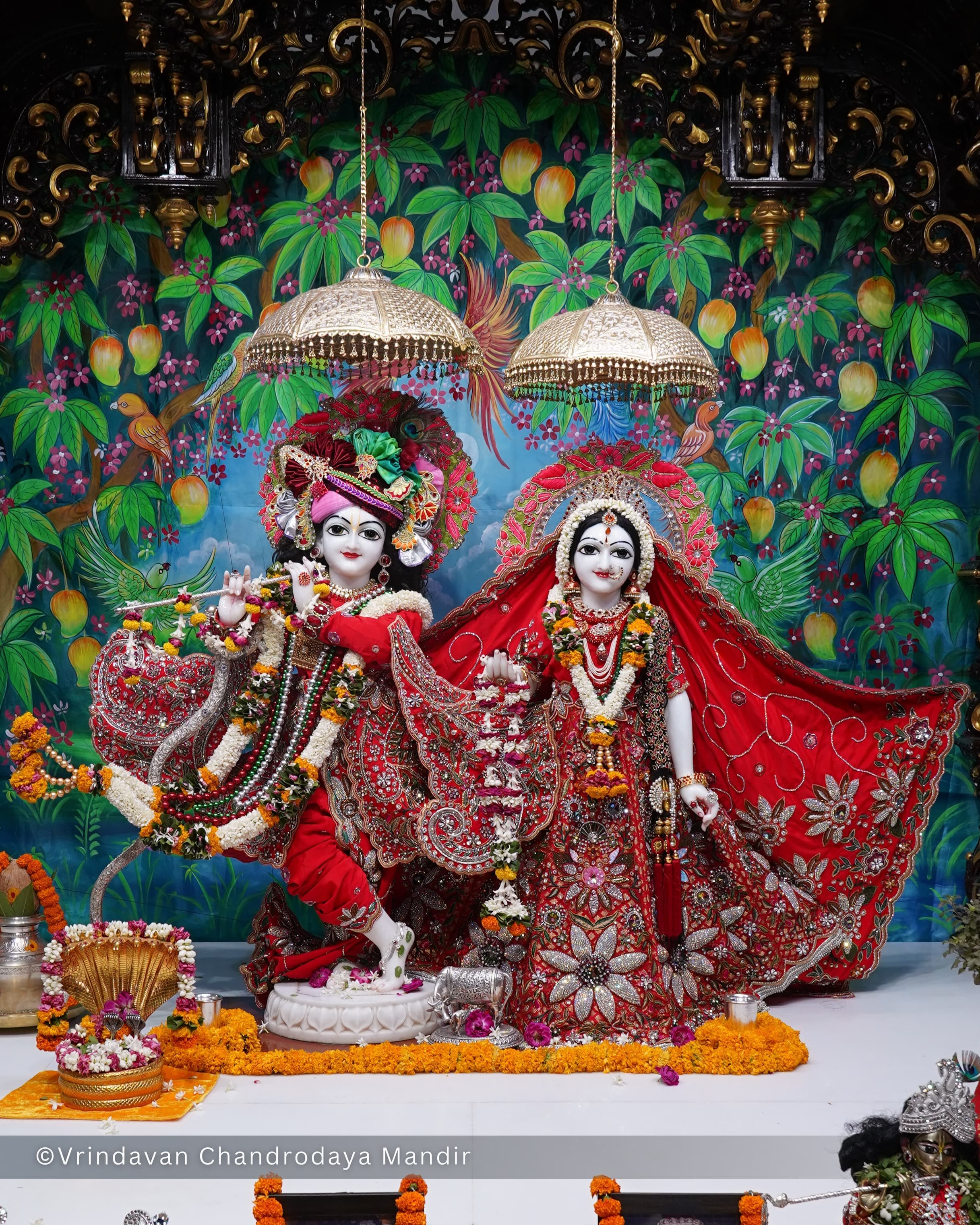राधेकृष्ण नित्य दर्शन