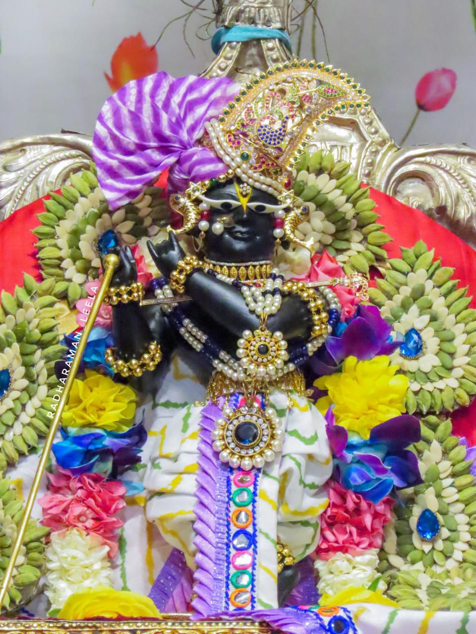 प्राणधन श्री राधारमण लाल जू आज के श्रृंगार दर्शन