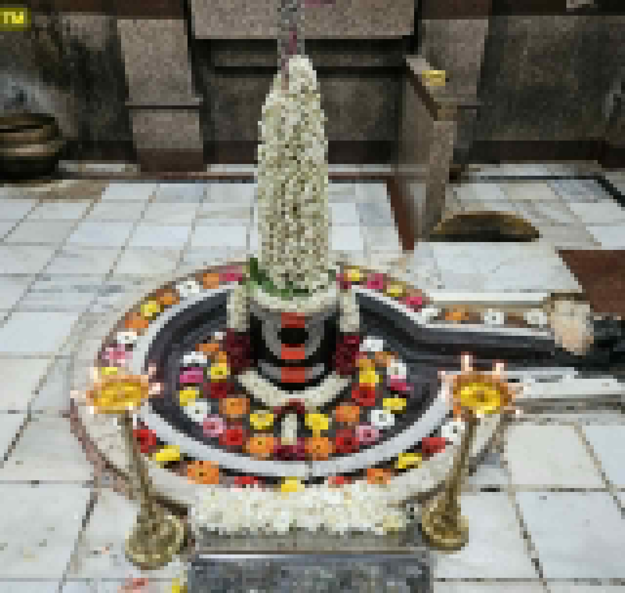 परली वैजनाथ के दर्शन