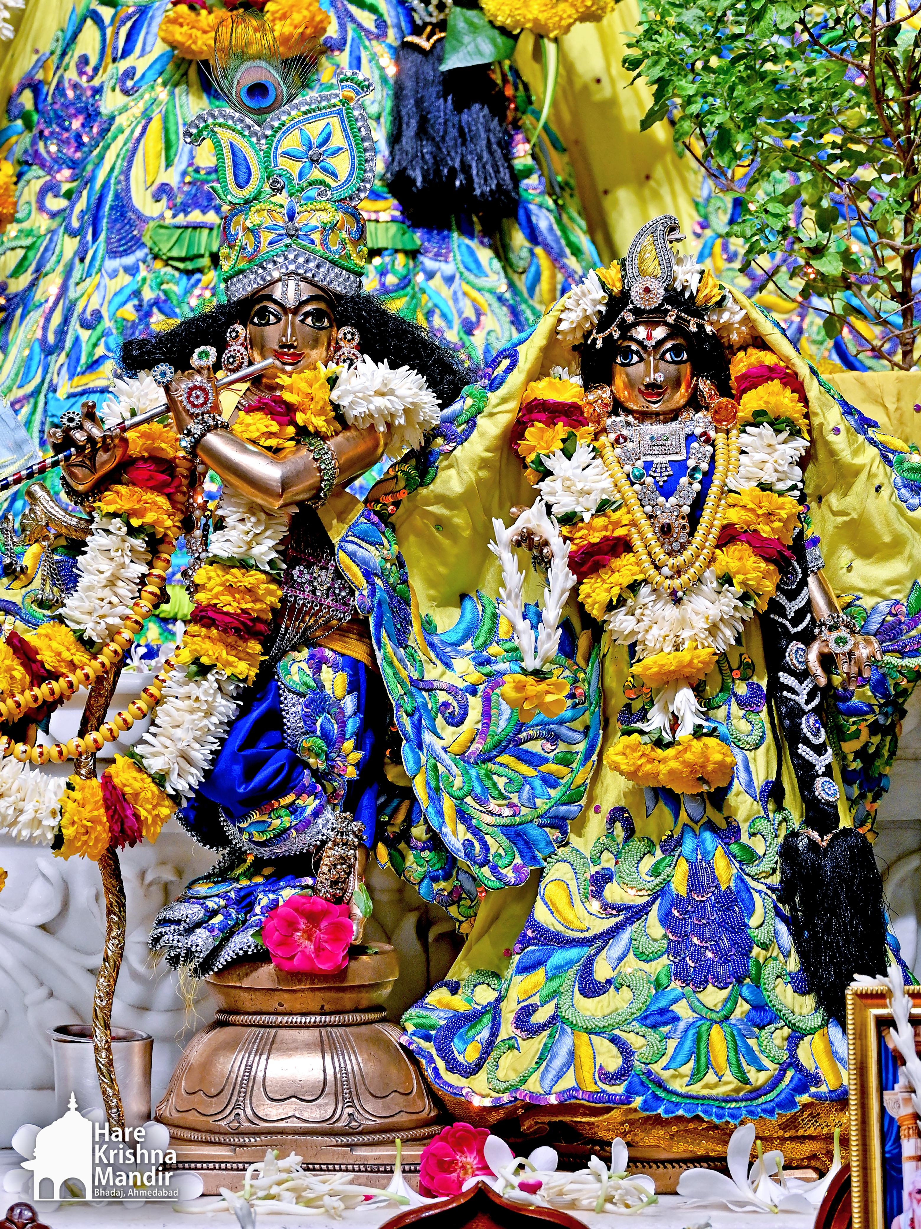 राधा कृष्णा जी के दर्शन हरेकृष्णा धाम