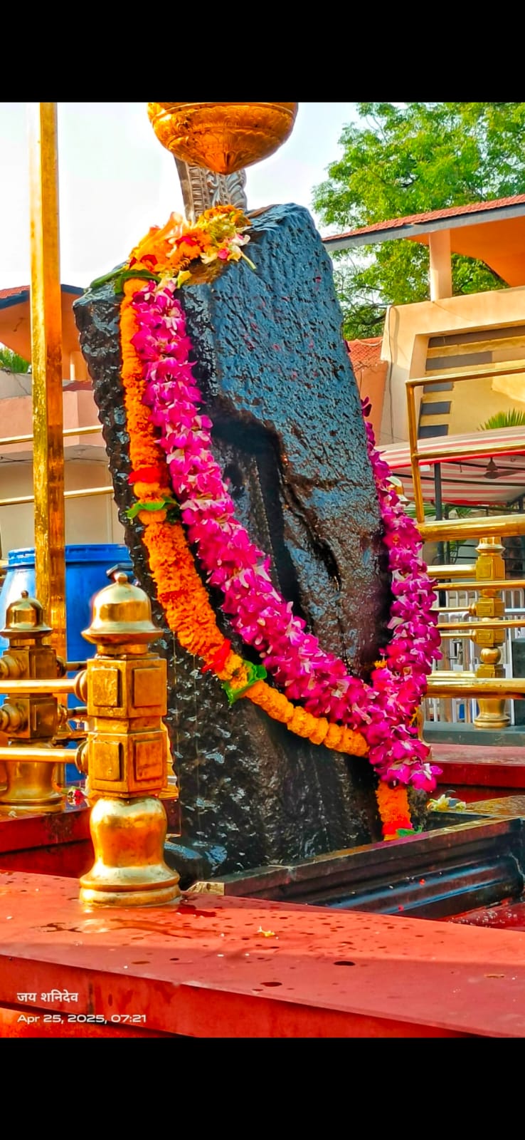 शनि शिंगलापुर नित्य दर्शन