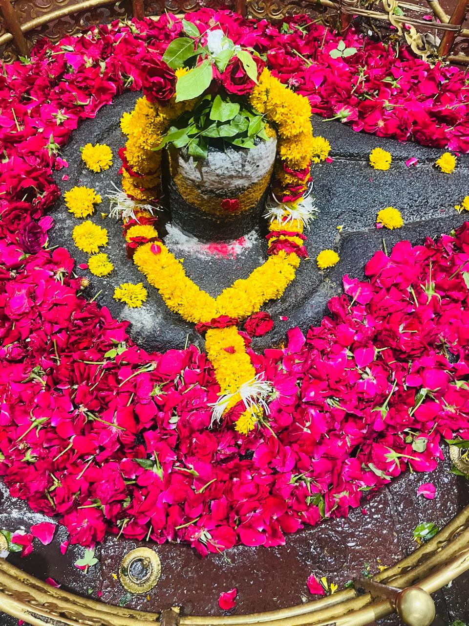 प्रभु श्री घृष्णेश्वर ज्योतिर्लिंग जी दिव्य श्रृंगार दर्शन