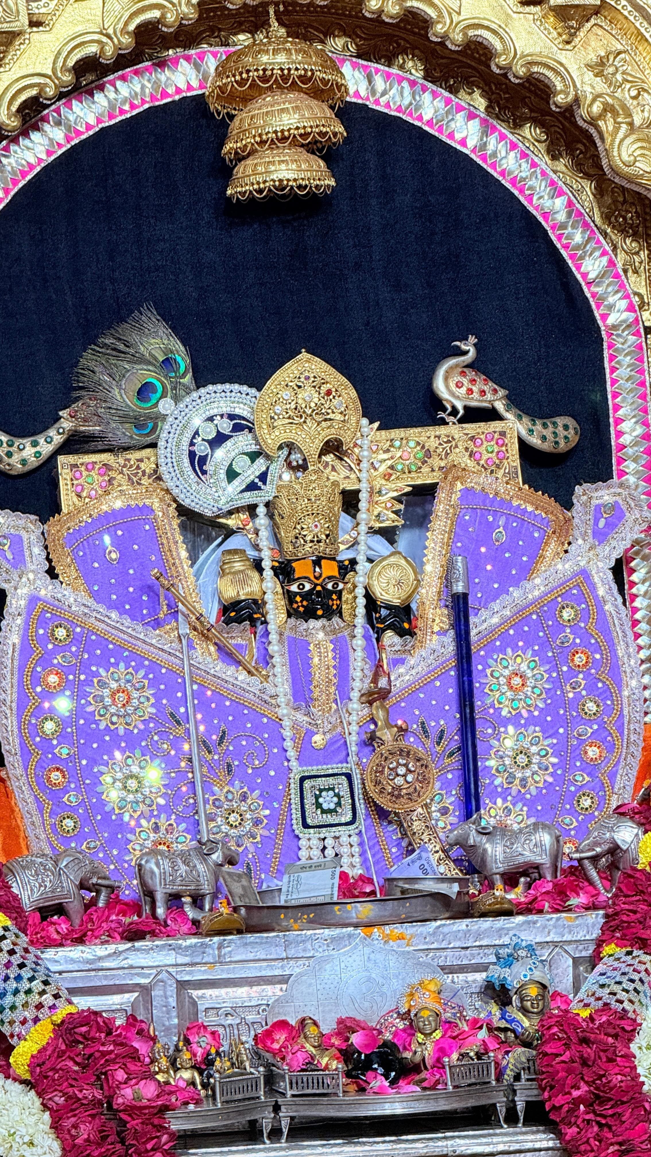 सांवरिया शेठ जी मनमोहक दर्शन