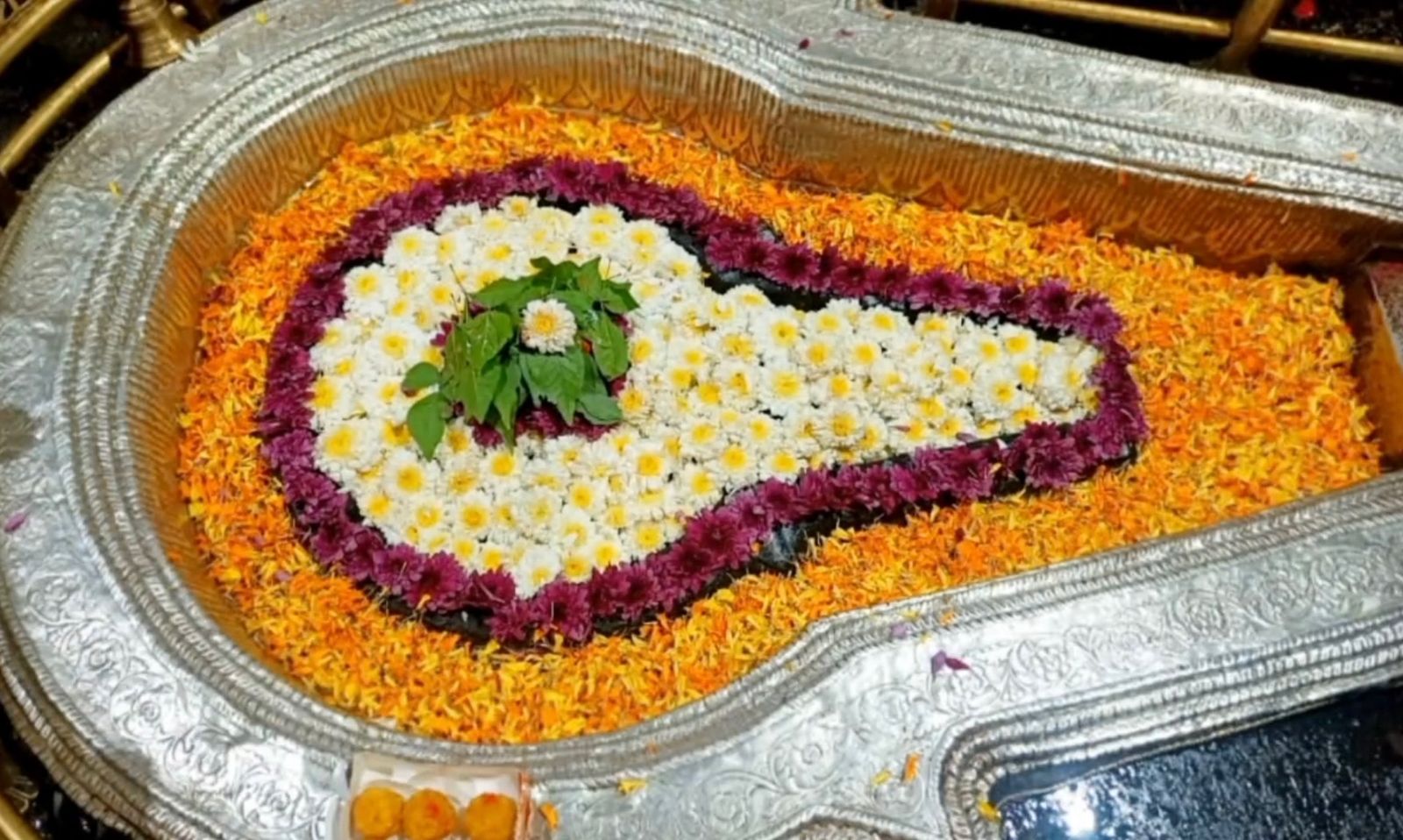 भीमाशंकर ज्योतिर्लिंग के दर्शन
