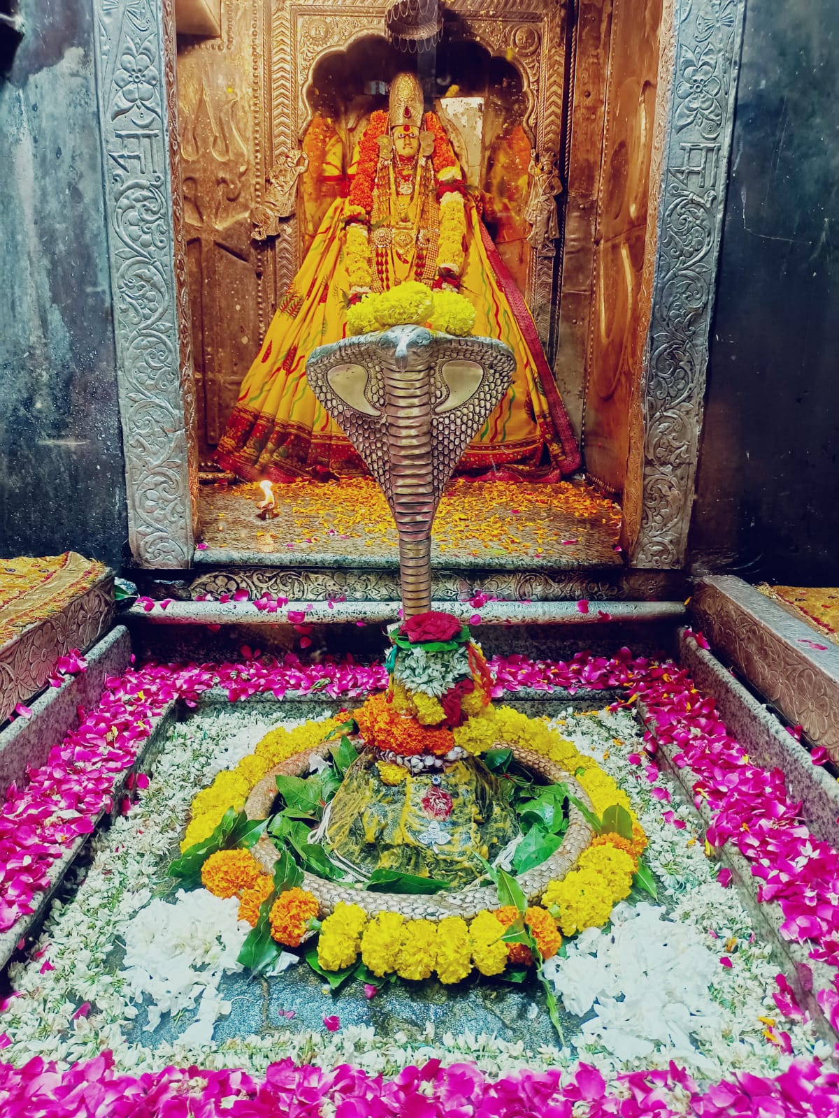 ओंकारेश्वर ज्योतिर्लिंग के दर्शन